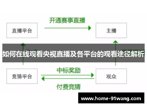 如何在线观看央视直播及各平台的观看途径解析